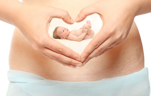 Sự phát triển, cơ quan sinh dục, các tuần thai, sự hình thành giới tính, sự hình thành cơ quan sinh dục, hệ sinh sản, tinh hoàn, buồng trứng, cơ quan sinh dục ngoài