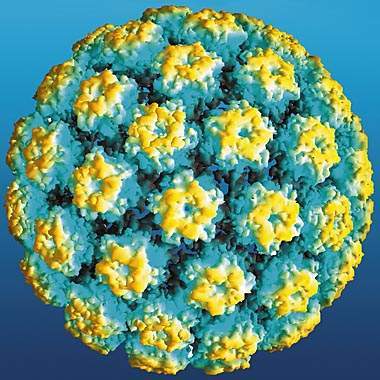 virus HPV (Human papilloma virus) 